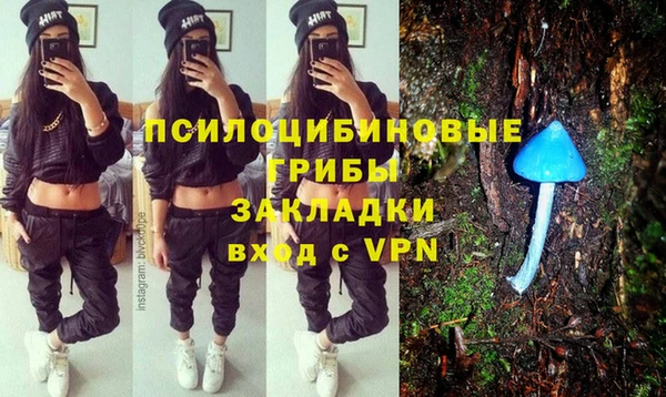 круглые Белокуриха