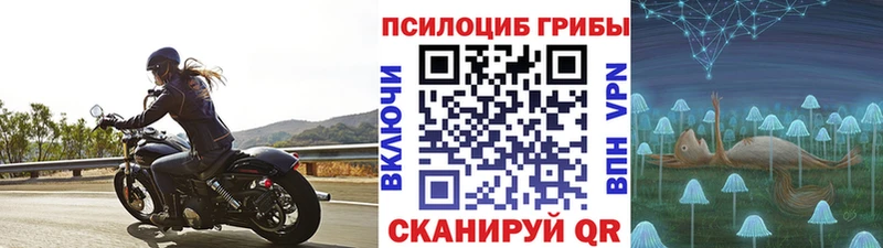 Купить закладки  Пикалёво  Галлюциногенные грибы мухоморы 